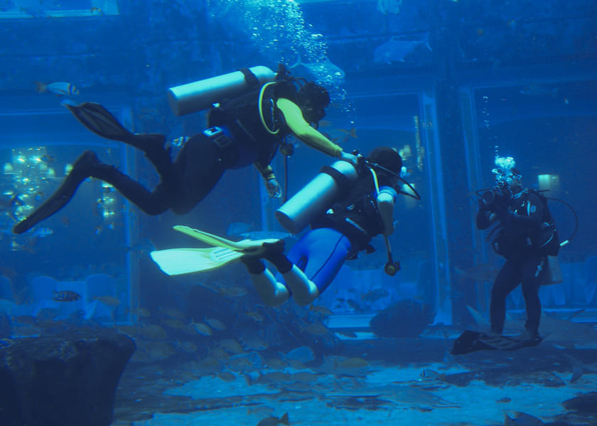 Atlantis Dubai Scuba Diving Experience Thrills and Beauty